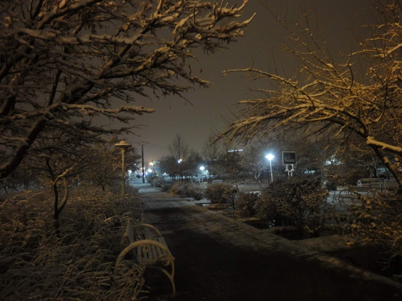 پارک جنگلی باغمیشه